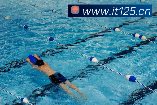 乐竞手机网页版入口服务体系